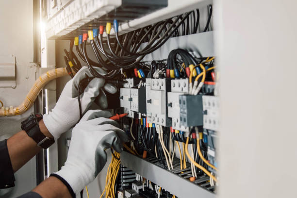 Best Electric Panel Repair  in Mantachie, MS
